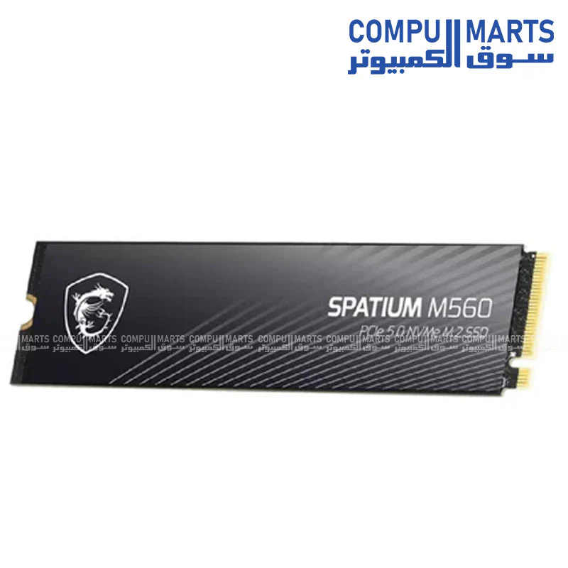 MSI SPATIUM M560 PCIe 5.0 NVMe M.2 SSD - Image 4