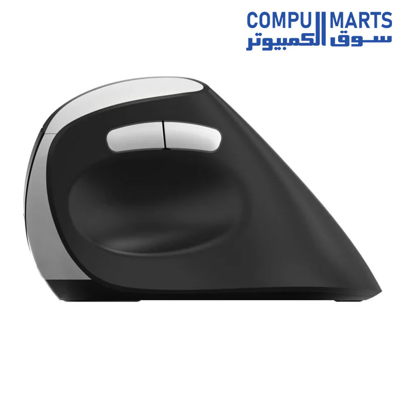 Rapoo EV250 Wireless Ergonomic Mouse - Image 3
